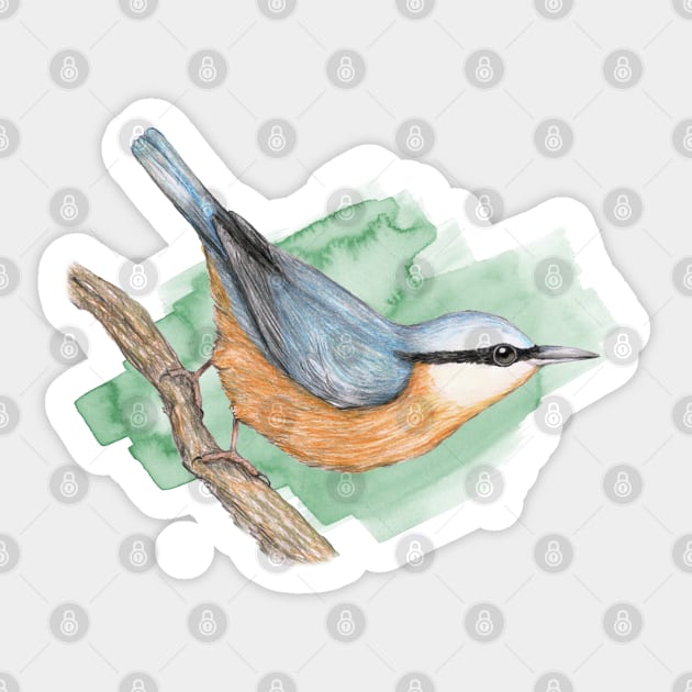 Nuthatch Sticker by Bwiselizzy